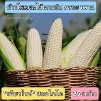 ราคา เมล็ดพันธุ์ข้าวโพดหวานนมสดทานสดได้(ชุดละ25เมล็ด) (12049666561)