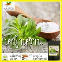 ราคา เมล็ดพันธุ์ หญ้าหวาน 50 เมล็ด Stevia Seeds เมล็ดพันธุ์แท้100% นำเข้าจากต่างประเทศ ปลูกผัก สวนครัว ราคาถูก ประหยัด (6249463031)