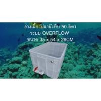 ราคา อ่างเลี้ยงปลาลังทึบ 50 ลิตร ขนาด 35 x 54 x 28 CM ระบบ OVERFLOW วาล์วขาว อ่างปลาบอลลูน อ่างปลาหางนกยูง อ่างปลาเมดากะ (49005097810)