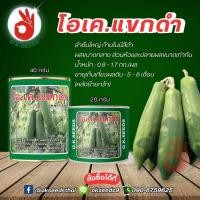 ราคา มะละกอ"โอ.เค.แขกดำ" ขนาด 20 และ 40 กรัม ลำต้นใหญ่ ก้านใบมีสีดำผลขนาดกลาง น้ำหนัก : 0.6 - 1.7 กก./ผล (25524375067)