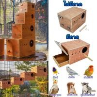 ราคา รังเพาะนก รังไข่นก กล่องเพาะนก บ้านนก รังเพาะนก ฟินซ์ เลิฟเบิร์ด กรีนชีค ฟอพัส หงส์หยก นกแก้ว ชูก้า (26920890122)