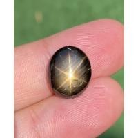 ราคา พลอย แบล็ค สตาร์ แซฟไฟร์ Black Star Sapphire 14.61 กะรัต (Cts.) ดิบ Unheated พลอยแท้ (17822553326)
