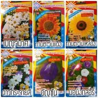 ราคา เมล็ดพันธุ์ ตรา 3A ดอกไม้ ดอกเบญจมาศ ดอกทานตะวันแดง ดอกทานตะวันเหลือง ดอกดาวกระจายสี (5758686195)