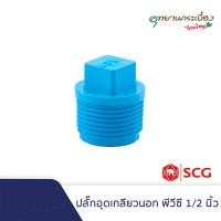 ราคา ปลั๊กอุดเกลียวนอก1/2นิ้ว(4หุน),3/4นิ้ว(6หุน),1นิ้ว พีวีซี ตราช้าง เอสซีจี SCG Valve Plug PVC (21377927172)