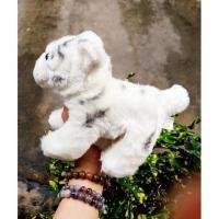 ราคา ตุ๊กตาเสือขาว/เสือเหมือนจริง ขนนุ่ม (12683960678)