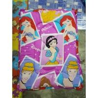 ราคา ที่นอนเด็กอ่อน-เด็กอนุบาล ผ้าคอลตอล100% เจ้าหญิงดิสนีย์สีชมพู (2721876249)