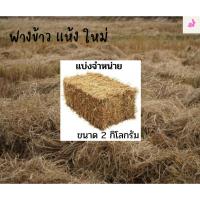 ราคา ฟาง ฟางข้าว ฟางข้าวอัดก้อนแบ่ง 2 กิโลกรัม ฟางใหม่ คุณภาพดี มีบริการเก็บปลายทาง (22823190355)