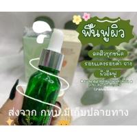 ราคา Green tea water essences เซรั่มชาเขียว แก้ ฝ้า ลด สิว ขาว ใส กระชับ รูขุมขน ลด ความมัน บนใบหน้า (25777076964)