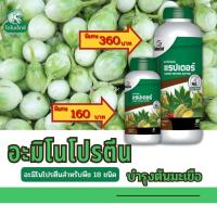 ราคา มะเขือ โตไว ใบเขียว ผลใหญ่ แข็งแรง ผลผลิตดี อะมิโนโปรตีนจำเป็นสำหรับพืช 18 ชนิด อะมิโนแรปเตอร์ โดย ไดโนเร็กซ์ (18677602250)