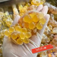 ราคา ไข่ปลาริวกิว ไซค์ M 250กรัม (24544225653)