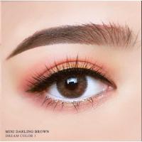ราคา คอนแทคเลนส์ ✨ขนาดมินิ✨Brown✨Mini Darling (Dreamcolor) (4419356796)