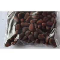 ราคา ขายส่ง เมล็ดสนรัสเซีย Russian pine สนทานเมล็ด บอนไซ Bonsai สนไพนินัท สนสามใบ สนหางม้า สนสองใบ เมล็ดสนถั่ว 50 เมล็ด (12157266266)