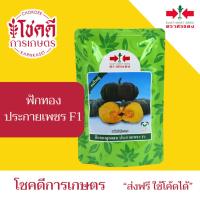 ราคา ฟักทอง ประกายเพชร เมล็ดพันธุ์ ฟักทอง ลูกผสม ตรา ศรแดง บรรจุ 110 กรัม (1000 เมล็ด) (56250746201)