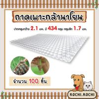 ราคา ถาดเพาะกล้านาโยน มี 2 แบบให้เลือก 434 หลุม และ 561 หลุม จำนวน 100 ชิ้น ถาดเพาะต้นข้าว ถาดเพาะนาโยน เพาะกล้าข้าว (25181811001)