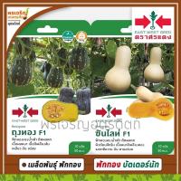 ราคา เมล็ดพันธุ์ฟักทอง ฟักทองบัตเตอร์นัท F1 (แบบซอง) เมล็ดฟักทองถุงทอง ฟักทองซันไลท์ เมล็ดพันธุ์ผักสวนครัว ตราศรแดง (17906245981)