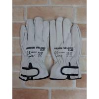 ราคา ARGON VELCRO CUFF GLOVE ถุงมืออาร์กอน (4107722966)