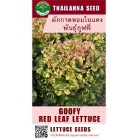 ราคา เมล็ดพันธุ์ผักสลัด ผักกาดหอมใบแดง พันธุ์กูฟฟี่ ( ขนาด 0.5 กรัม ) รหัสสินค้า 3032 (16359570333)