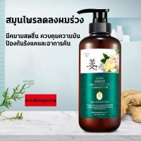 ราคา 500MLแชมพูขิง แชมพูแก้ผมร่วง แชมพูปลูกผมดก แชมพูขิงเพียว แชมพูสมุนไพร สระผมแก้ผมร่วงสูตรแก้ปัญหาผมร่วง ผมบาง ปลูกผม เร่ง (25925603333)