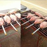 ราคา เสียบปลานิล สแตนเลส อุปกรณ์ย่างปลาเผา ที่ย่างปลาช่อน เสียบปลาดุก มัลติฟังก์ชั่น (42478713128)