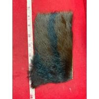 ราคา แผ่นหนัง เครื่องรางเสือแท้ ชนิดเสือโคร่ง หลวงพ่อปาน วัดมงคลโคธาวาส ขนาด 7 นิ้ว (43828176610)