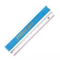 ราคา PVC ไม้บรรทัดใส ตราเครื่องบิน ยาว 12 นิ้ว (12อัน) (29569367264)
