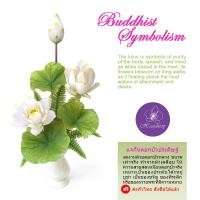 ราคา Handitop แจกันดอกบัวบูชาพระ แจกันดอกบัวประดิษฐ์สำหรับเป็นของขวัญขึ้นบ้านใหม่ ดอกบัวหลวงขนาดใหญ่สีขาว (1015632484)