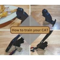 ราคา ที่ตั้งมือถือ รูปแมว เลียมือ CAT (21671974242)