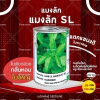 ราคา เมล็ดแมงลัก ใบใหญ่ หอมแรง พืชผักสวนครัว ผักใบ แมงลักSL ขนาด 50 กรัม ตราซีดไลน์ (49901051886)