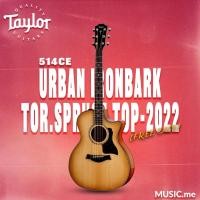 ราคา TAYLOR 514CE URBAN IRONBARK-TOR.SPRUCE TOP-2022 [FREE CASE] (23964720070)