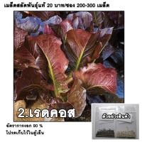 ราคา เมล็ดผักสลัดเรดคอส เรดคอส RedCos ถูกสุด 200-300 เมล็ด มีคู่มือ (5240750539)