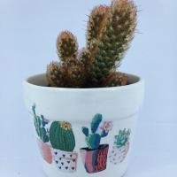 ราคา กระถางต้นไม้ลายวินเทจพร้อมจานรอง (918857866)
