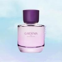 ราคา น้ำหอมแบ่งขาย Zara Gardenia EDP (42757647594)