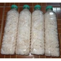 ราคา หน่อไม้ดอง หน่อไม้ส้ม450- 500 กรัม แม่น้อยบ้านโนนเสลา ไร้สารฟอกขาว (57006289672)