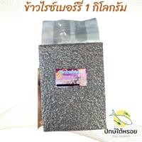 ราคา ข้าวไรซ์เบอร์รี่พัทลุง 1 กิโลกรัม ซีลสุญญากาศ ข้าวแบบเกษตรอินทรีย์ (26613426802)