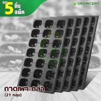 ราคา [G.] (Set 5 ใบ/แพ็ค) ถาดเพาะกล้า เพาะมล็ด จำนวน 21 หลุม (หนา 0.6 มม.) ถาดเพาะ โดย GROWCERY (13820676098)