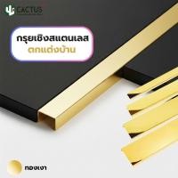 ราคา CACTUS กรุยเชิงสแตนเลส ขนาด 10mm./ 15mm./ 25mm./ 40mm. ความยาว 2.4m. 5สี (24963110212)
