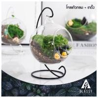ราคา โหลแก้วสวยๆ พร้อมส่งจากไทย Terrarium แจกันแขวน โหลกลม+ขาตั้ง ทำสวนขวด สวนจิ๋ว DIY อุปกรณ์ตกแต่งสวน (25900574849)