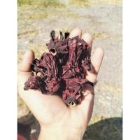 ราคา กระเจี๊ยบแห้ง กระเจี๊ยบตากแห้ง กระเจี๊ยบแดงแห้ง ของใหม่แดงสวยรับประกันได้ 1 กก. เพียง 169-. (40327077982)