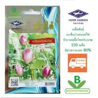ราคา 5 ฟรี 1 คละได้ เมล็ดพันธุ์ มะเขือม่วงหลอดไฟ เจียไต๋ เมล็ดผัก เมล็ดพันธุ์พืช เมล็ดพันธุ์ผัก เมล็ดพืช (6818773088)