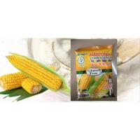 ราคา แป้งข้าวโพด Corn Starch ตราใบหยก 500g วัตถุดิบเบเกอรี่อุปกรณ์ เบเกอรี่ (9761319743)