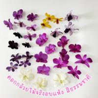 ราคา Prosco | ดอกกล้วยไม้อบแห้ง สีธรรมชาติ สำหรับงานตกแต่ง craft งานประดิษฐ์ handmade เรซิ่น ตกแต่งบ้าน (42568319841)