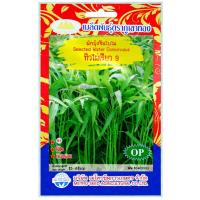 ราคา เมล็ดผักบุ้งจีนใบไผ่ ทิวไผ่เรียว 9 ตราภูเขาทอง (27384062529)