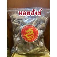 ราคา หอยสังข์ เปลือกหอยสังข์ (11270478112)