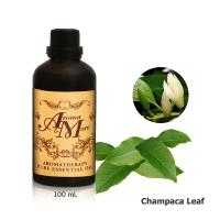 ราคา Aroma&More Champaca Leaf (Michelia Alba) Essential Oil 100% / น้ำมันหอมระเหยใบจำปี 100% China 100ML (7536164825)