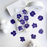 ราคา ดอกไม้แห้ง ดอกเดฟิเนียมสีม่วง | 15ดอก(1แผ่น)- สำหรับงาน DIY งานเรซิ่นและตกแต่งอื่นๆ (25125004168)