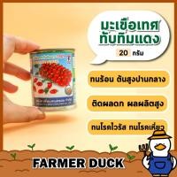 ราคา มะเขือเทศ ทับทิมแดง T2021 ( ส่งฟรี ) เมล็ดพันธุ์ มะเขือเทศ เชอร์รี่ ราชินี ตรา เพื่อนเกษตร ดอกแตง บรรจุ 20 กรัม (25562529792)