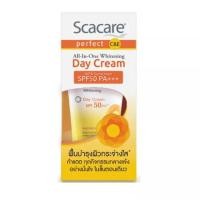 ราคา Scacare Perfect All-in-One Whitening Day Cream สกาแคร์ ครีมบำรุงผิวหน้า 30 กรัม (19875834693)