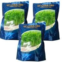 ราคา เมล็ดพันธุ์ผักบุ้งจีน เรียวไผ่ทองคำ ตราเจียไต๋ ขนาด 1 กิโลกรัม ลำต้นตรง (41673924011)