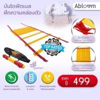 ราคา บันไดฟิตเนส ฝึกความคล่องตัว 6 M Speed Agility Ladder (คละสี) (107093022)