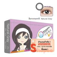 ราคา Maxim contact lens maximcontactlens (318584983)